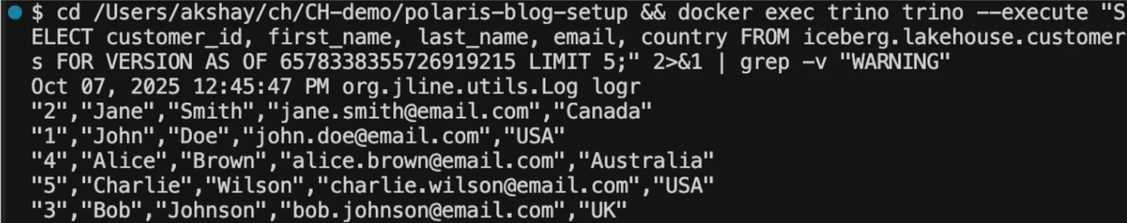 Audit Query