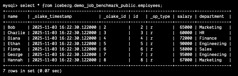 Doris lakehouse stack running successfully