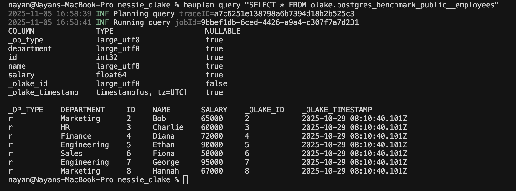 Bauplan query results