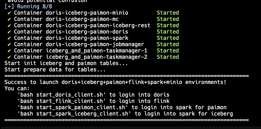 Doris lakehouse stack running successfully