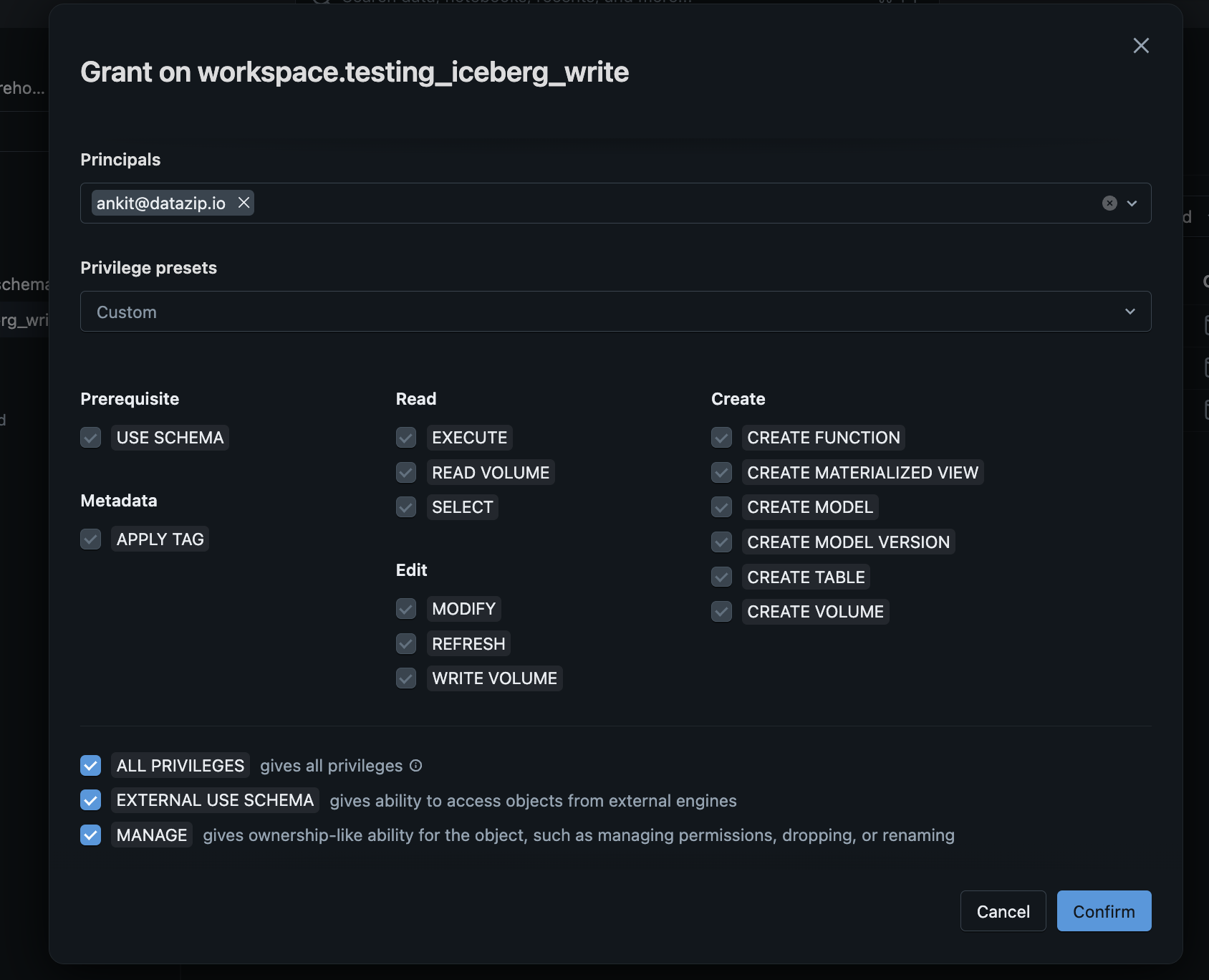 Grant Schema Permissions