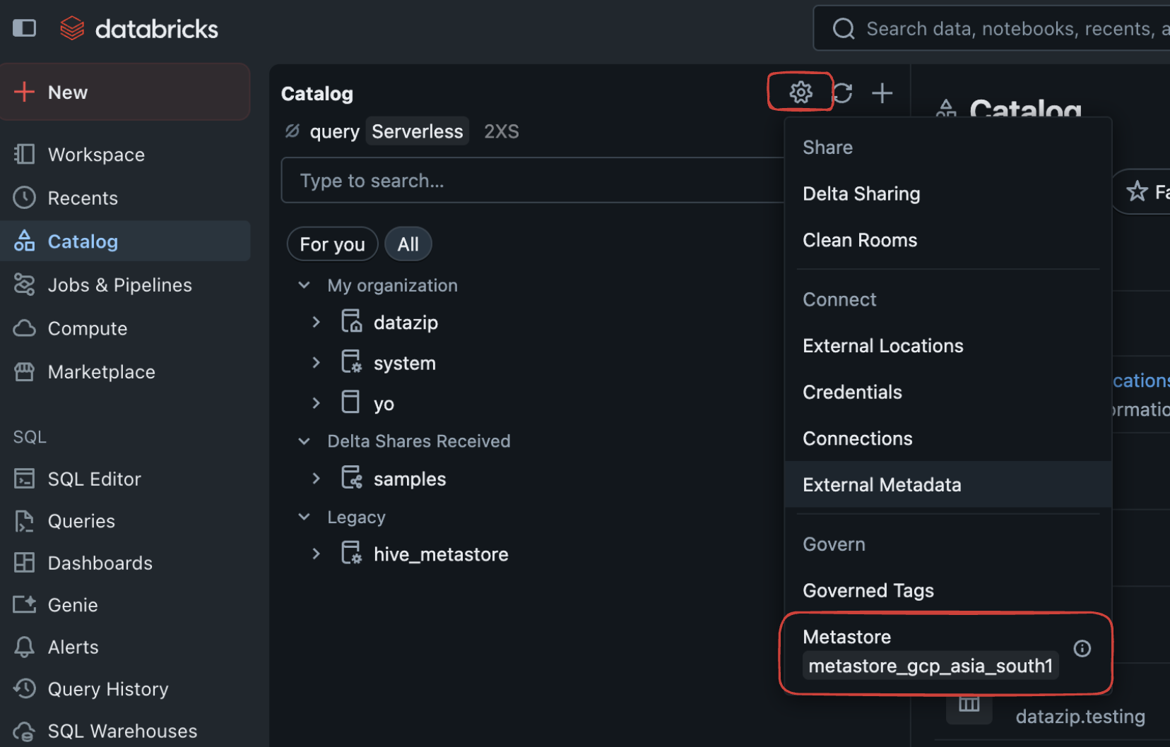 Unity Catalog Metastore Settings