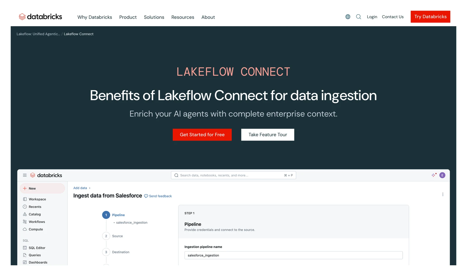 Databricks Lakeflow Connect home page showing its headline and main navigation