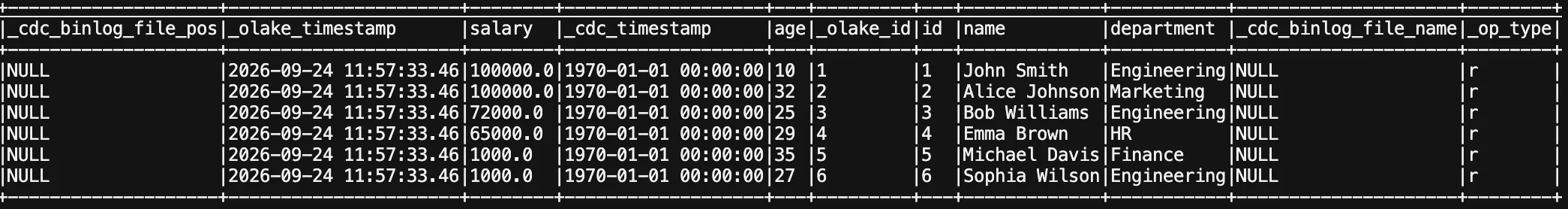 Apache Spark SQL query output showing rows from the Iceberg table