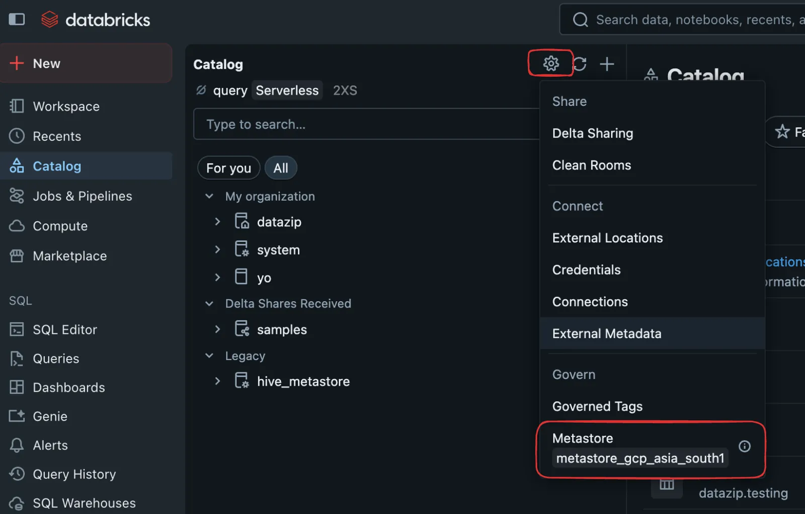 Unity Catalog Metastore Settings