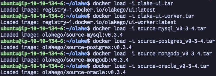 Docker image load