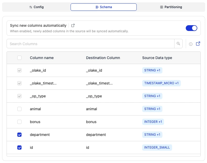 Olake Partition output